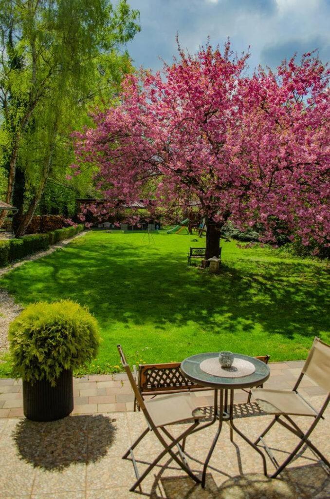 Shubu Zen Vendeghaz Hotel Szilvasvarad Bagian luar foto