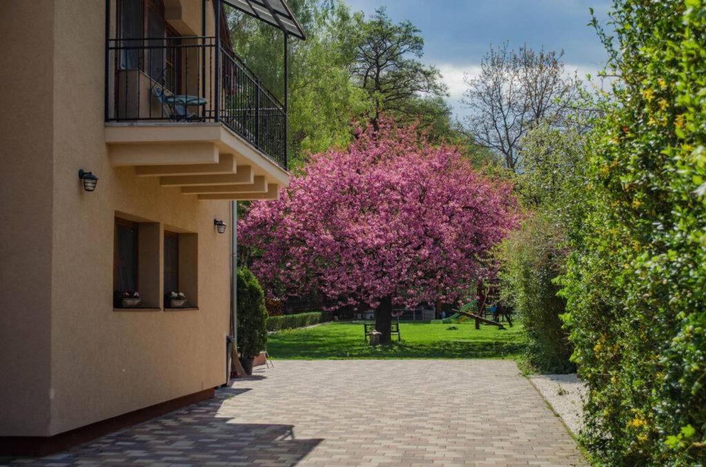 Shubu Zen Vendeghaz Hotel Szilvasvarad Bagian luar foto